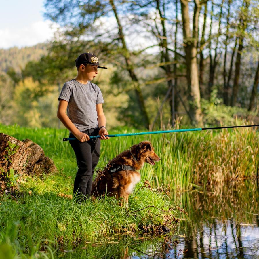 Village Vacances Cap France La Bolle Saint-Die-des-Vosges Eksteriør billede