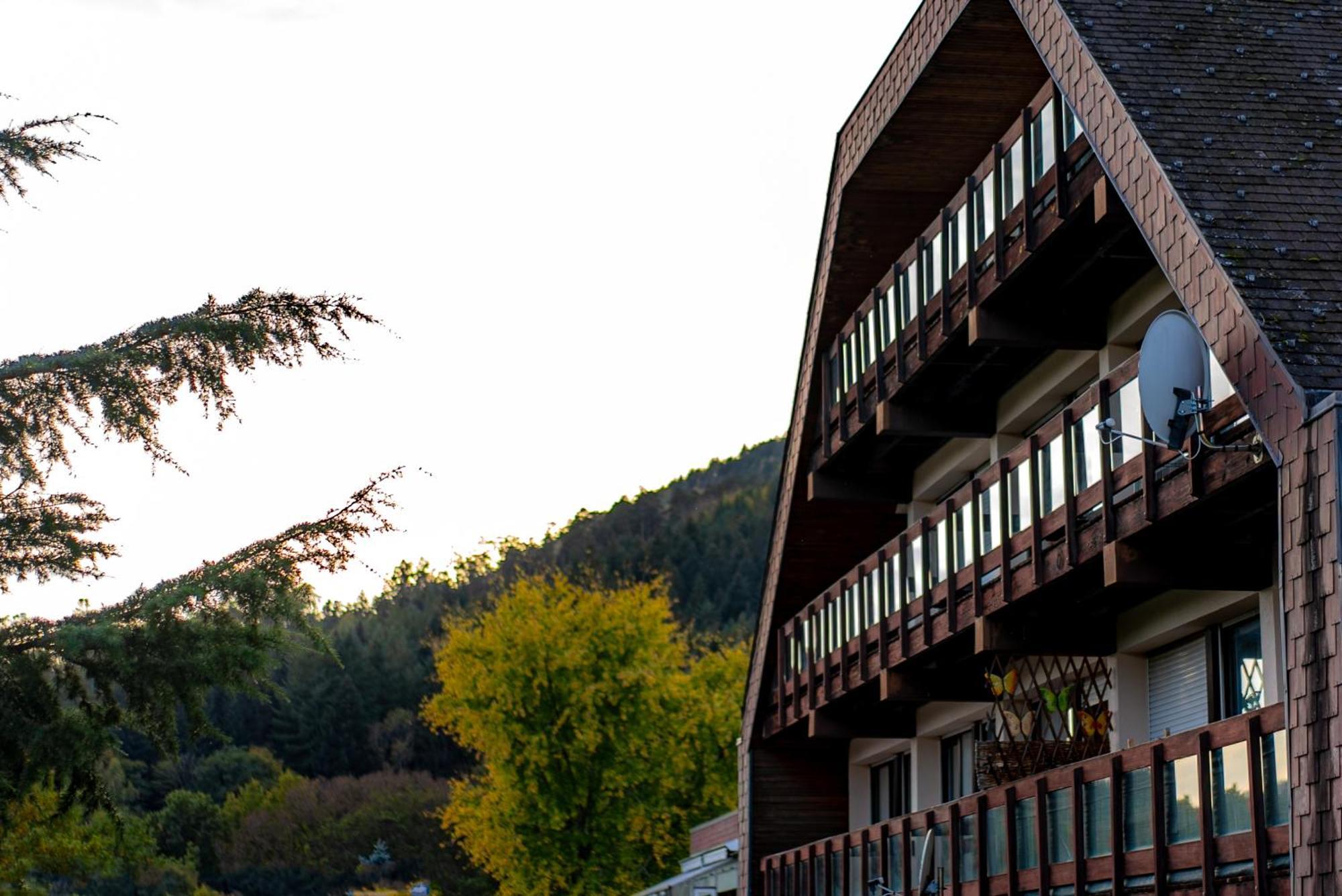 Village Vacances Cap France La Bolle Saint-Die-des-Vosges Eksteriør billede