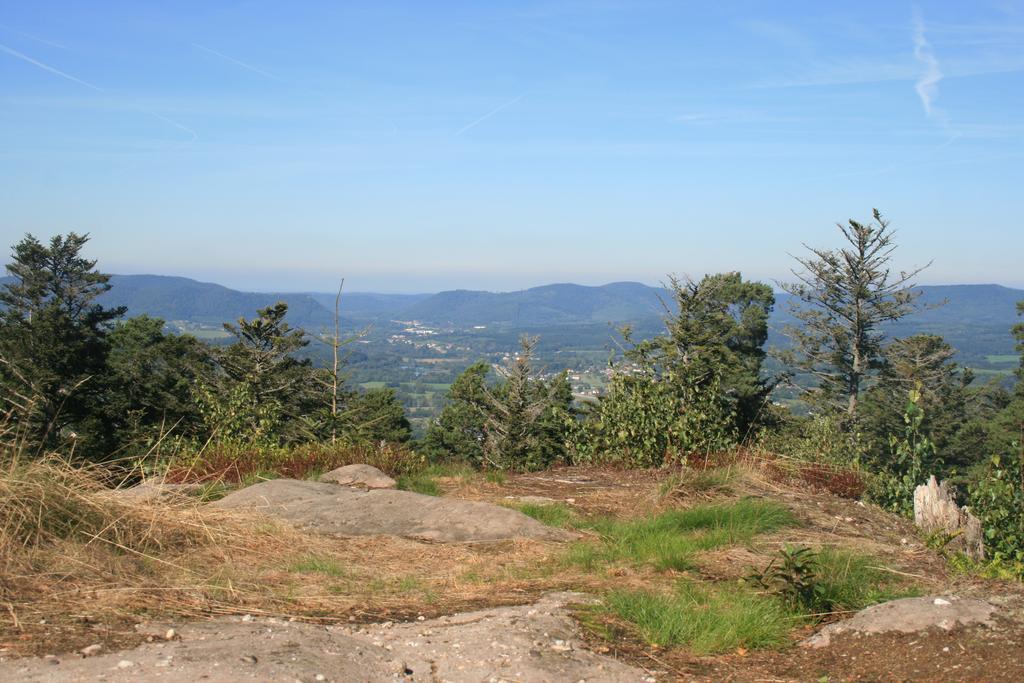 Village Vacances Cap France La Bolle Saint-Die-des-Vosges Eksteriør billede